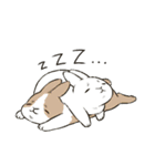 Rabbit with Mask（個別スタンプ：25）