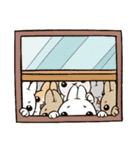 Rabbit with Mask（個別スタンプ：33）