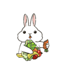 Rabbit with Mask（個別スタンプ：36）