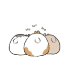 Rabbit with Mask（個別スタンプ：39）