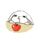 Rabbit with Mask（個別スタンプ：40）