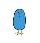 cocky birds（個別スタンプ：16）