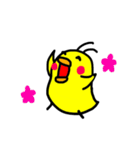 ぴよこ LIFE（個別スタンプ：1）