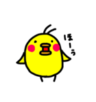 ぴよこ LIFE（個別スタンプ：12）