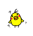 ぴよこ LIFE（個別スタンプ：16）