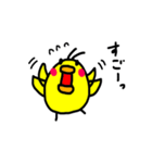 ぴよこ LIFE（個別スタンプ：19）