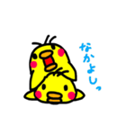 ぴよこ LIFE（個別スタンプ：40）