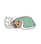 ダンナグマ（個別スタンプ：24）