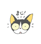 チビ猫のパウくん（個別スタンプ：18）