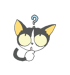 チビ猫のパウくん（個別スタンプ：19）