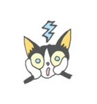 チビ猫のパウくん（個別スタンプ：22）