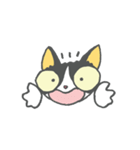 チビ猫のパウくん（個別スタンプ：23）