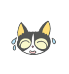 チビ猫のパウくん（個別スタンプ：24）