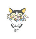 チビ猫のパウくん（個別スタンプ：37）