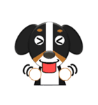 バニ的？まろいぬ日和（個別スタンプ：5）