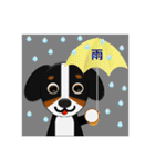 バニ的？まろいぬ日和（個別スタンプ：39）