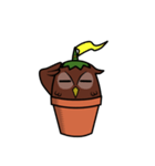 Pot Owl（個別スタンプ：17）