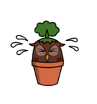 Pot Owl（個別スタンプ：20）