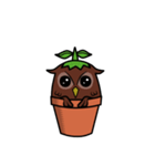 Pot Owl（個別スタンプ：24）