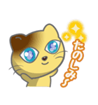 おしゃべりにゃんこ（個別スタンプ：14）