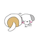 mydog rush（個別スタンプ：36）