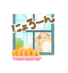 Eclair, 豚猫！（個別スタンプ：7）