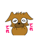ぶさかわチワワですw（個別スタンプ：5）