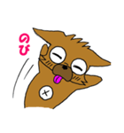 ぶさかわチワワですw（個別スタンプ：12）