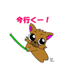 ぶさかわチワワですw（個別スタンプ：30）