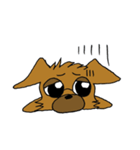 ぶさかわチワワですw（個別スタンプ：35）