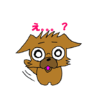 ぶさかわチワワですw（個別スタンプ：37）