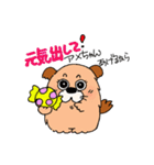 いやし犬 もっち（個別スタンプ：24）