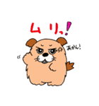 いやし犬 もっち（個別スタンプ：38）