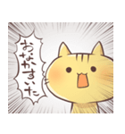 ゆるねこしゅーるすたんぷ（個別スタンプ：34）