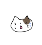 猫の落書き（個別スタンプ：22）