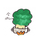 ブロッコリー（個別スタンプ：3）