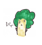 ブロッコリー（個別スタンプ：4）