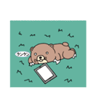 けものぐま（個別スタンプ：16）
