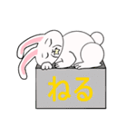 キモかわ ウサギ（個別スタンプ：4）