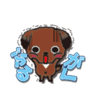 琉球犬の子犬リュウ（個別スタンプ：24）