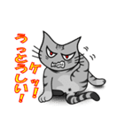 ワル猫ミーちゃん（個別スタンプ：5）