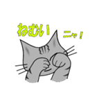 ワル猫ミーちゃん（個別スタンプ：31）