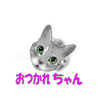 ワル猫ミーちゃん（個別スタンプ：33）