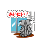 ワル猫ミーちゃん（個別スタンプ：36）