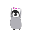 ぺんぎんこれくしょん。（個別スタンプ：5）