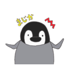 ぺんぎんこれくしょん。（個別スタンプ：8）