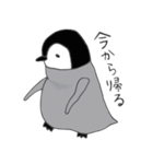 ぺんぎんこれくしょん。（個別スタンプ：15）