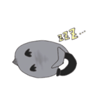 ぺんぎんこれくしょん。（個別スタンプ：31）