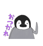 ぺんぎんこれくしょん。（個別スタンプ：37）