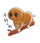 まいぺーすろーろりすくん（個別スタンプ：12）